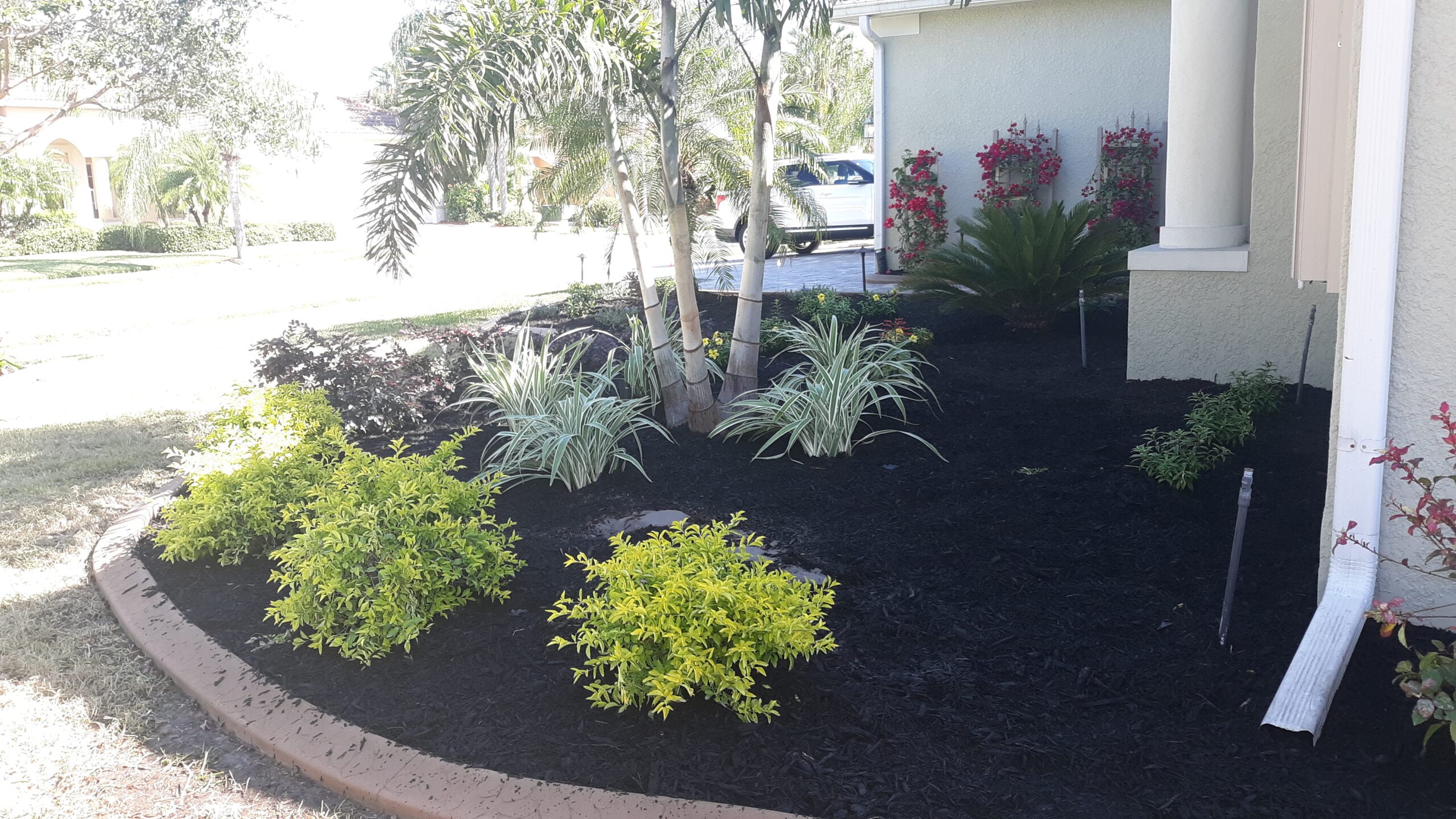 landscape design sarasota