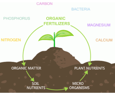 fertilizer process