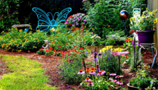 picture of a butterfly garden