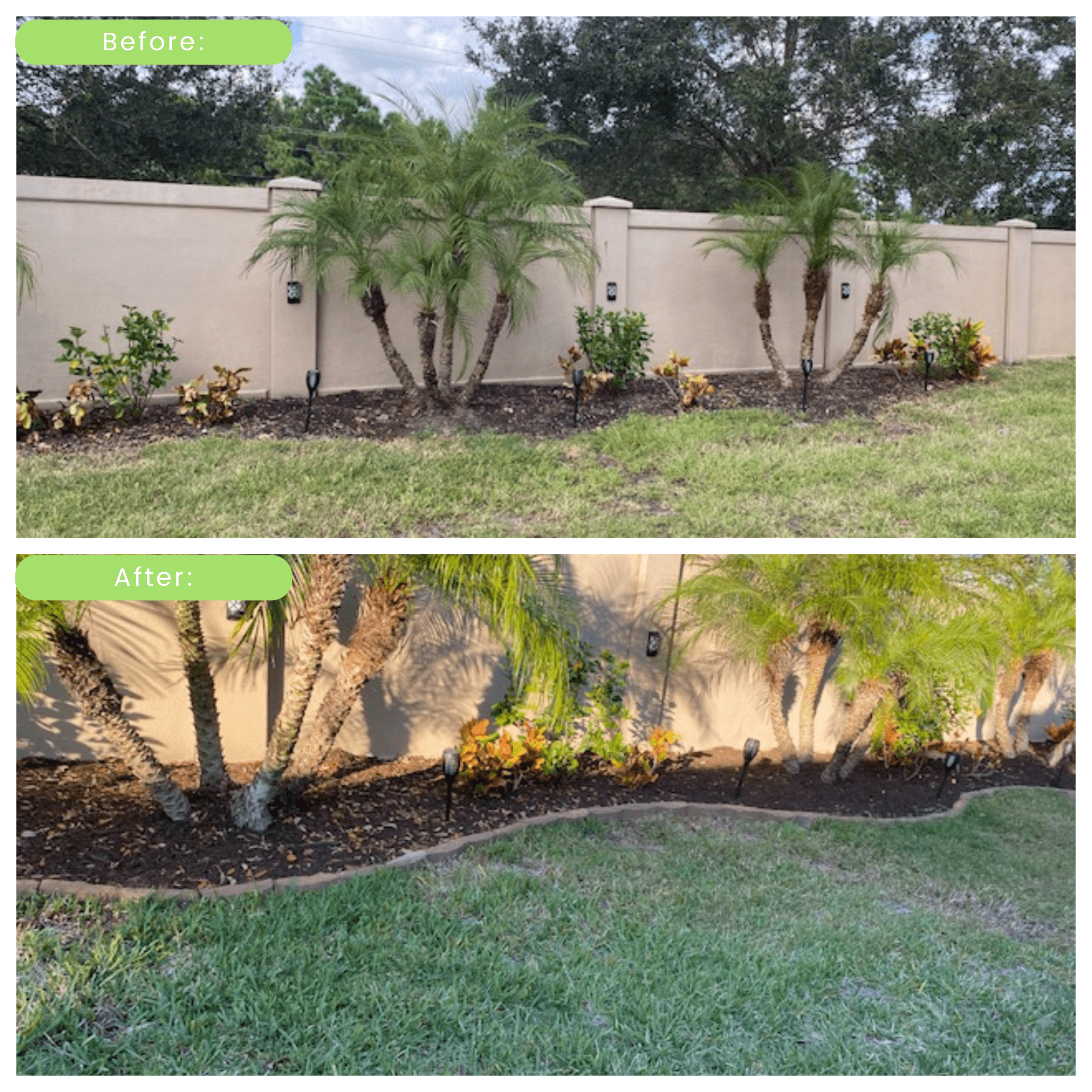 before and after landscape  design 2