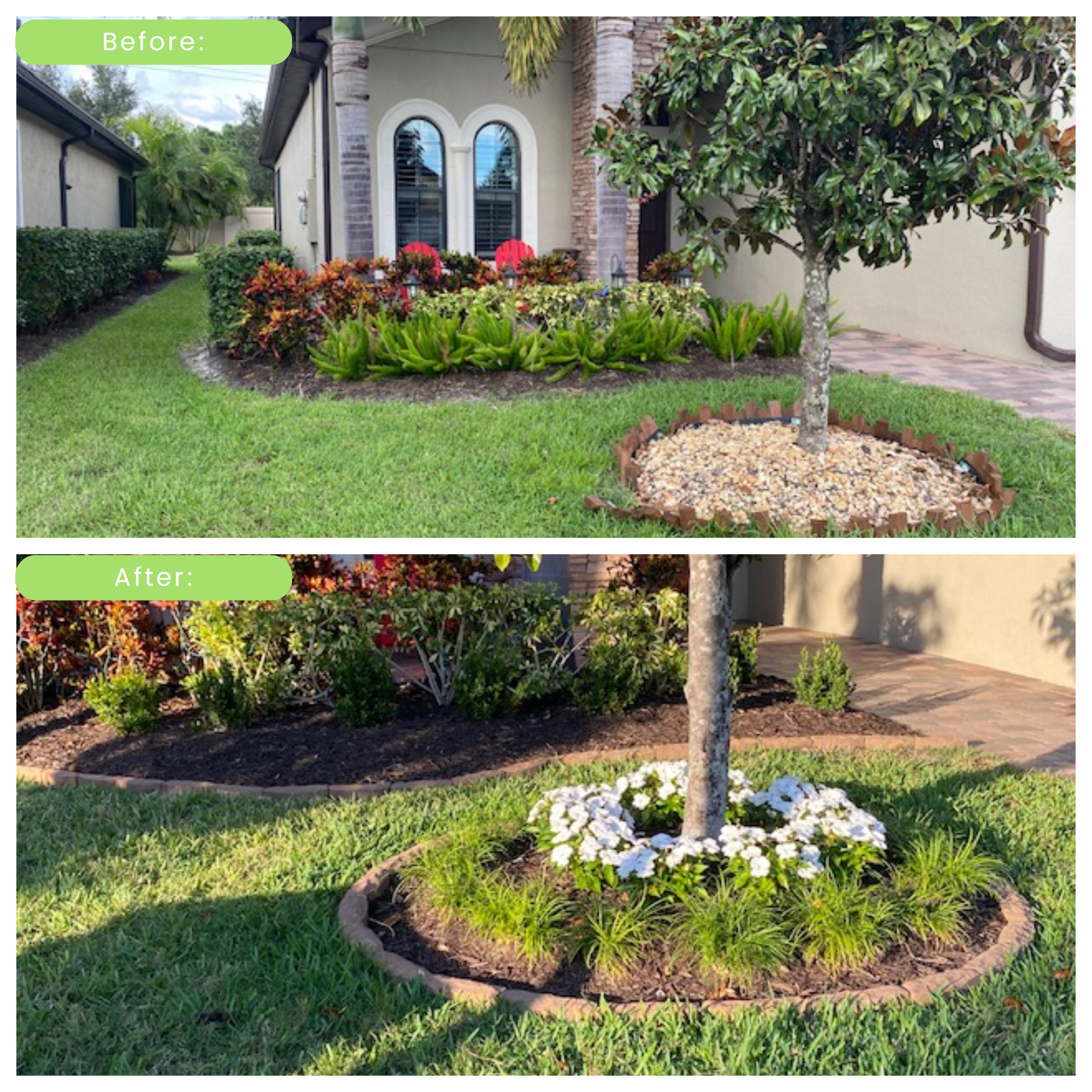 before and after landscape  design 1